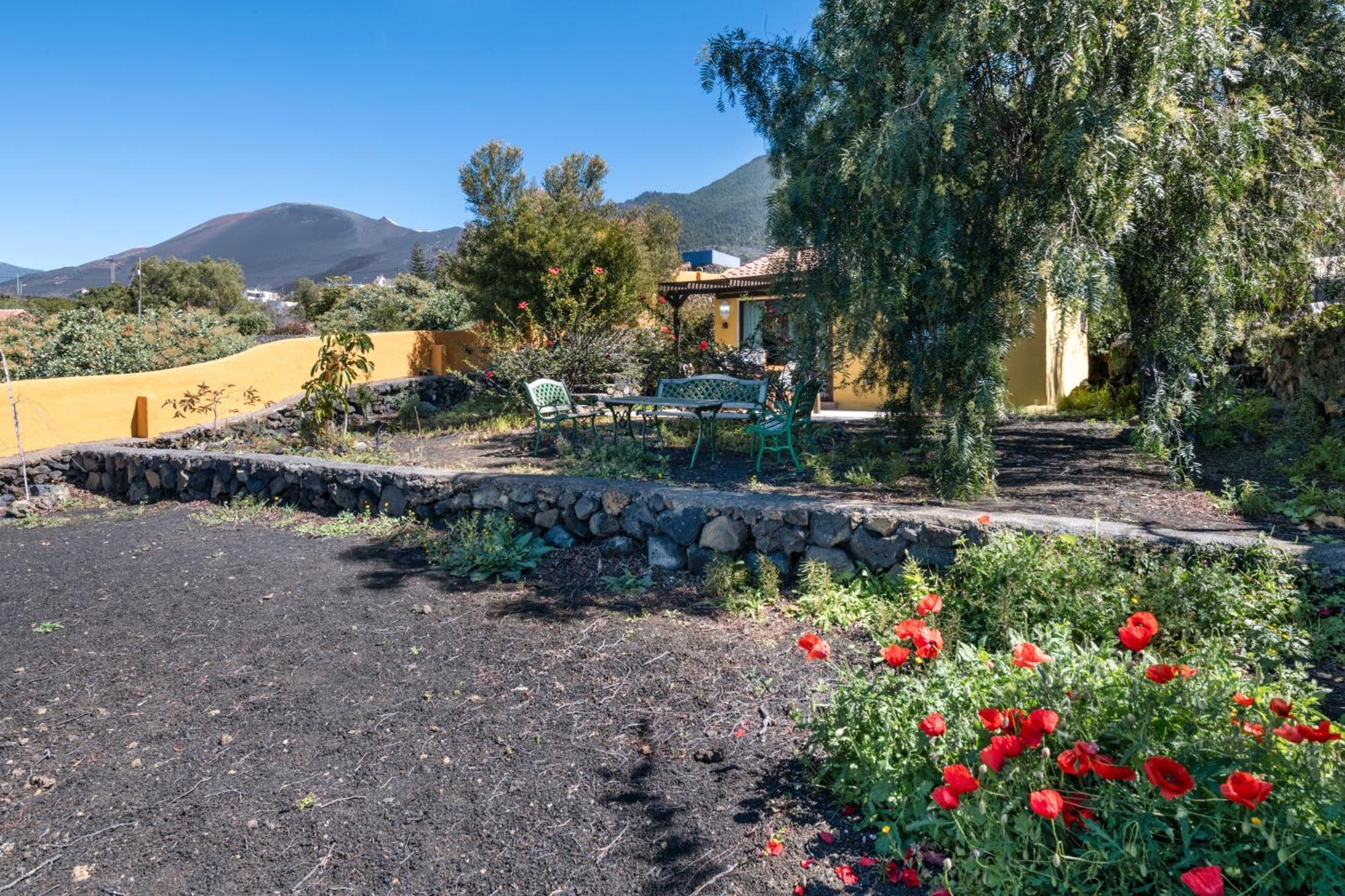 El Jardin De Las Pleyades Los Llanos De Aridane Εξωτερικό φωτογραφία